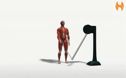 Exercise Videos- Cable Single Arm High Pull on Vimeo