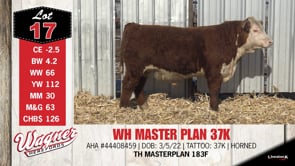 Lot #17 - WH MASTER PLAN 37K