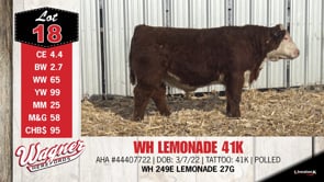 Lot #18 - WH LEMONADE 41K