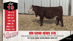 Lot #19 - WH GOOD NEWS 87K