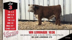 Lot #3 - OUT -- -- WH LEMONADE 103K -- -- OUT