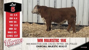 Lot #5 - WH MAJESTIC 16K