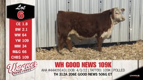 Lot #6 - WH GOOD NEWS 109K