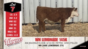 Lot #7 - WH LEMONADE 145K