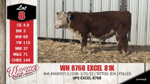 Lot #8 - WH 8768 EXCEL 81K