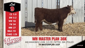 Lot #9 - WH MASTER PLAN 36K