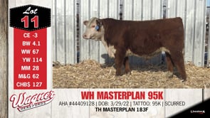 Lot #11 - WH MASTERPLAN 95K