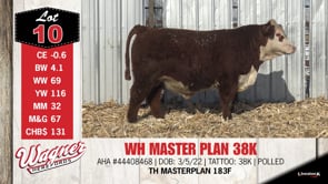 Lot #10 - WH MASTER PLAN 38K