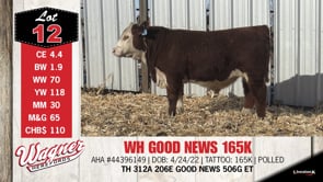 Lot #12 - WH GOOD NEWS 165K