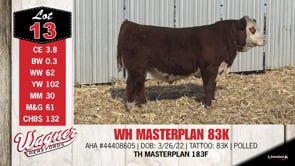 Lot #13 - WH MASTERPLAN 83K