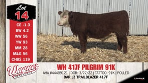 Lot #14 - WH 417F PILGRIM 91K