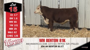 Lot #15 - WH BENTON 81K