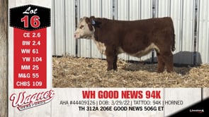 Lot #16 - WH GOOD NEWS 94K