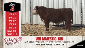 Lot #4 - WH MAJESTIC 18K