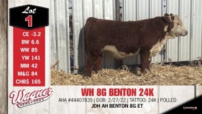 Lot #1 - WH 8G BENTON 24K