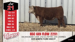 Lot #21 - BSC GEN FLOW 2291