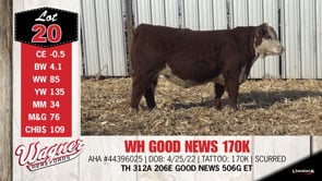 Lot #20 - WH GOOD NEWS 170K