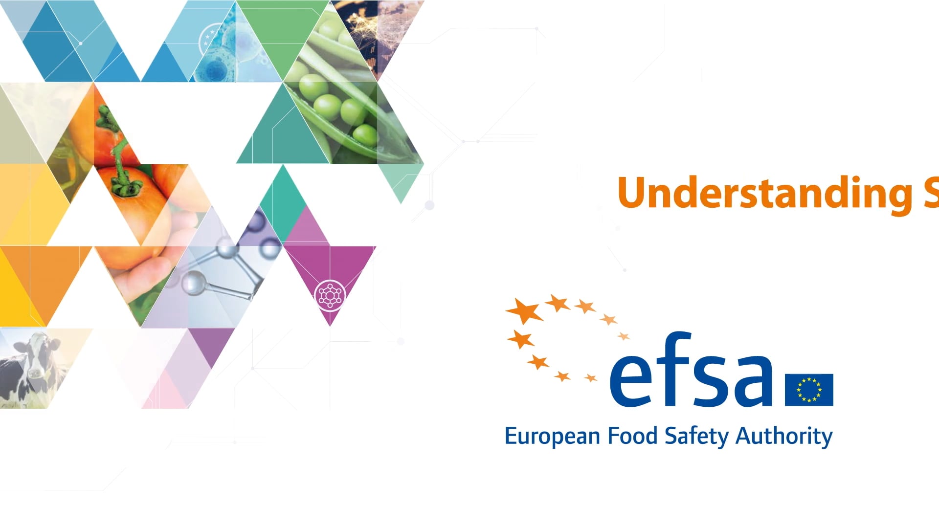 EFSA Acrylamide