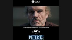 Peter K. Alleine gegen den Staat