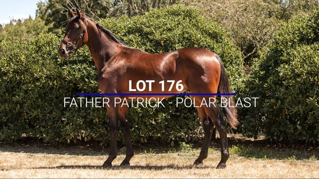 Lot 176