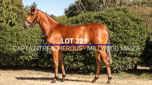 Lot 329
