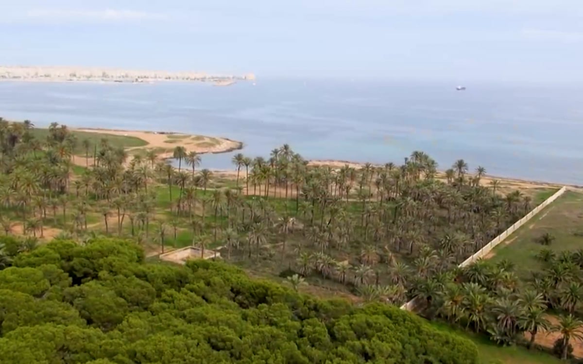 Apartamento en Venta en Guardamar del Segura