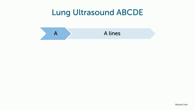 Let's learn the ABC of lung ultrasound!