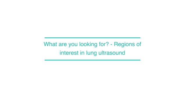 What are you looking for? - Regions of interest in lung ultrasound