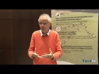 Entrevista a Sergio Calsamiglia (2)