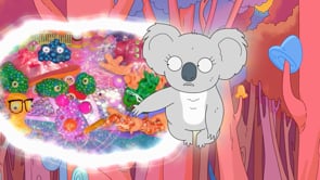 Related Embedded Video Item Thumbnail