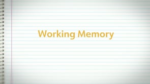 Working Memory