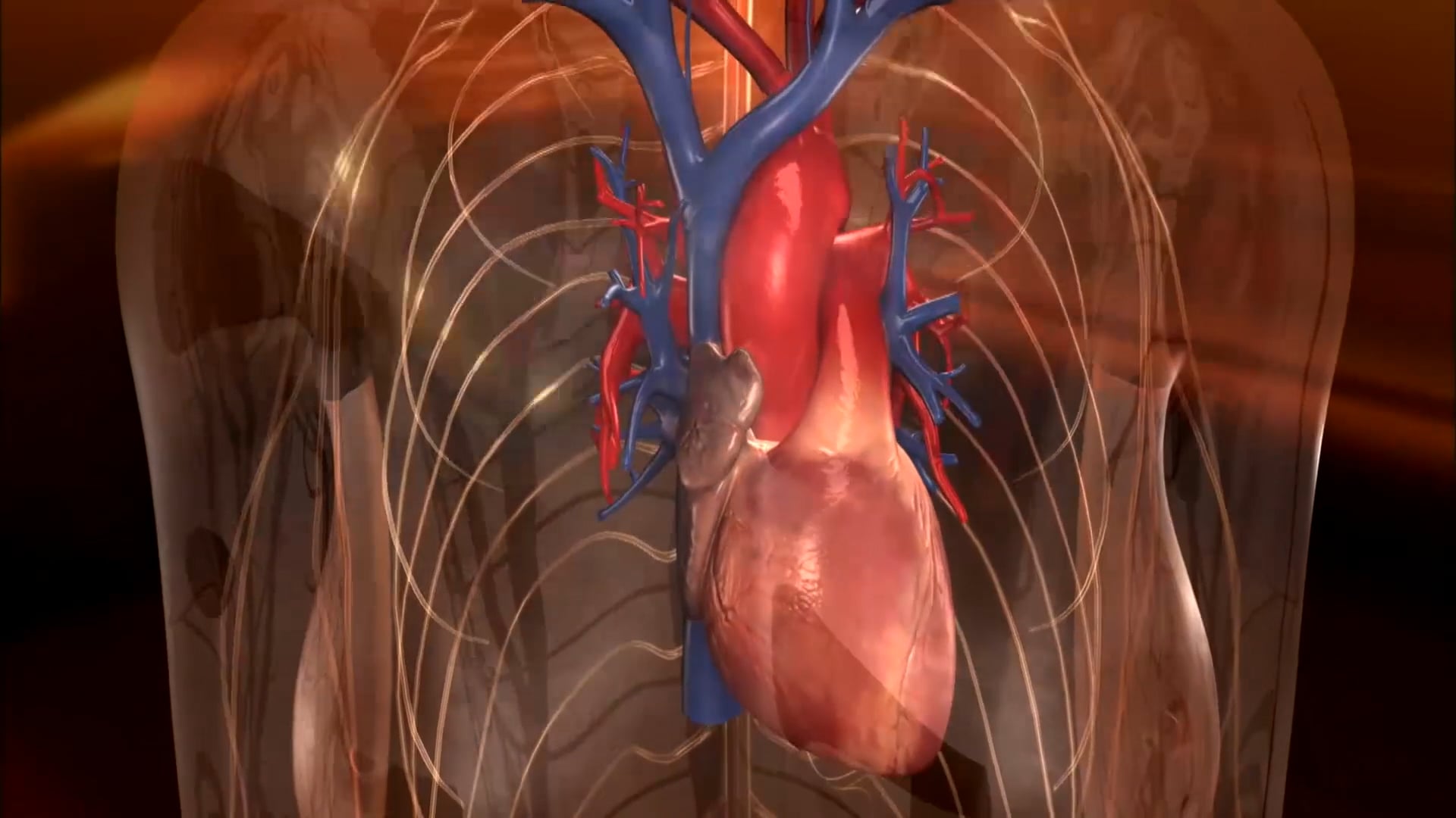 MEDICAL ANIMATION REEL