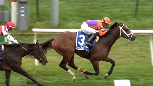 Major Dude | 2022 Pilgrim Stakes (G2) at Belmont