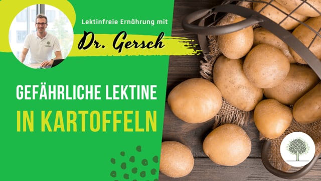 Ist das ein Gesundheitsproblem, wenn Kartoffeln Lektine enthalten? 