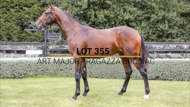 Lot 355