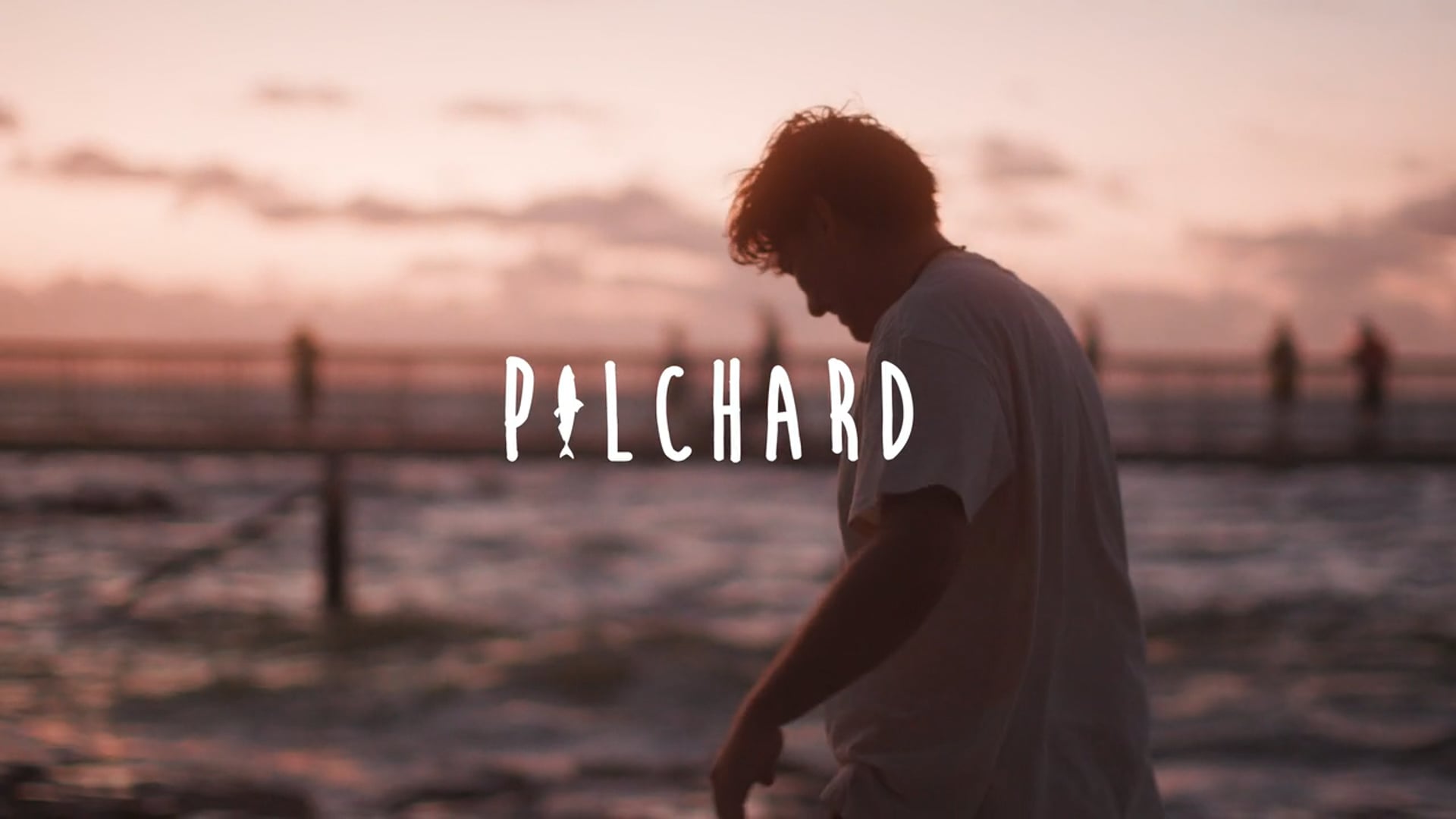 Pilchard co. Promo