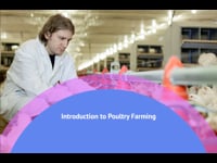 Overview of Poultry Industry