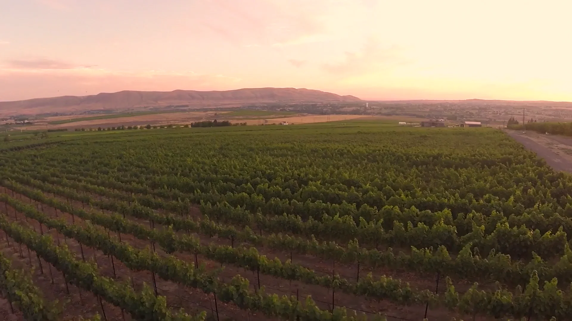 Holiday Triple Cherry Nut Classic Tin