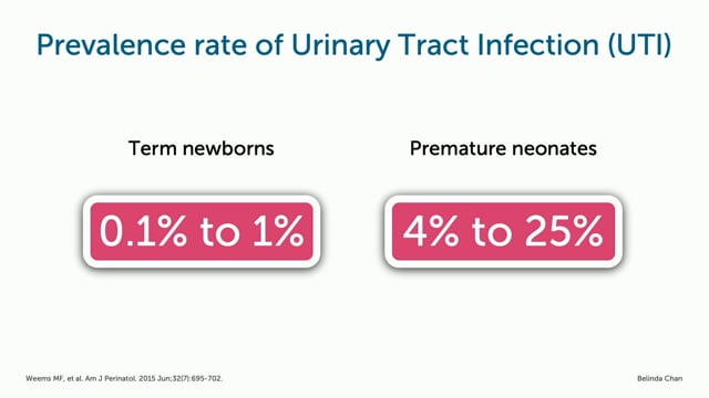 How to assess the bladder volume for the collection of a sterile urine sample