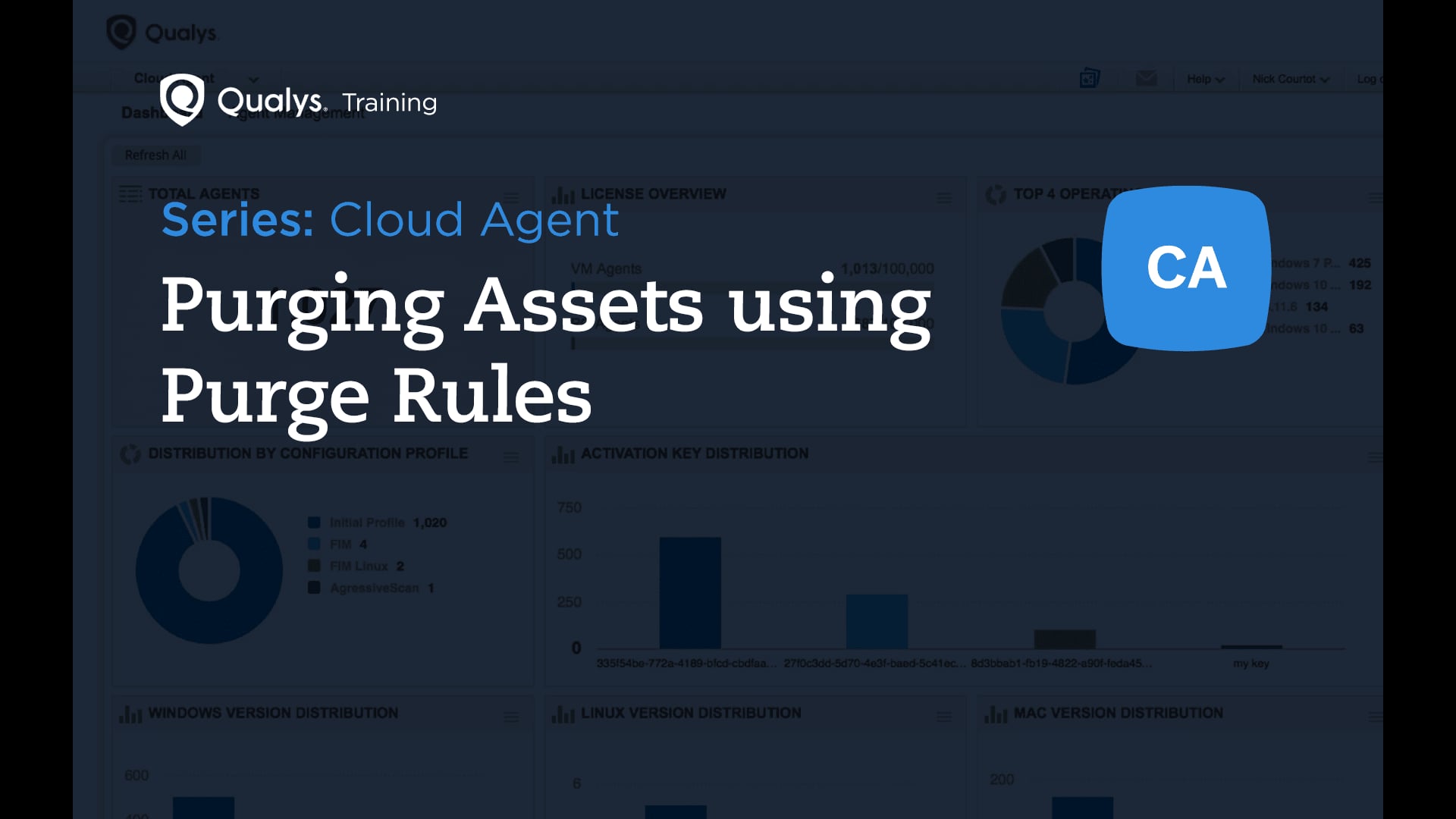 Purging Assets using Purge Rules
