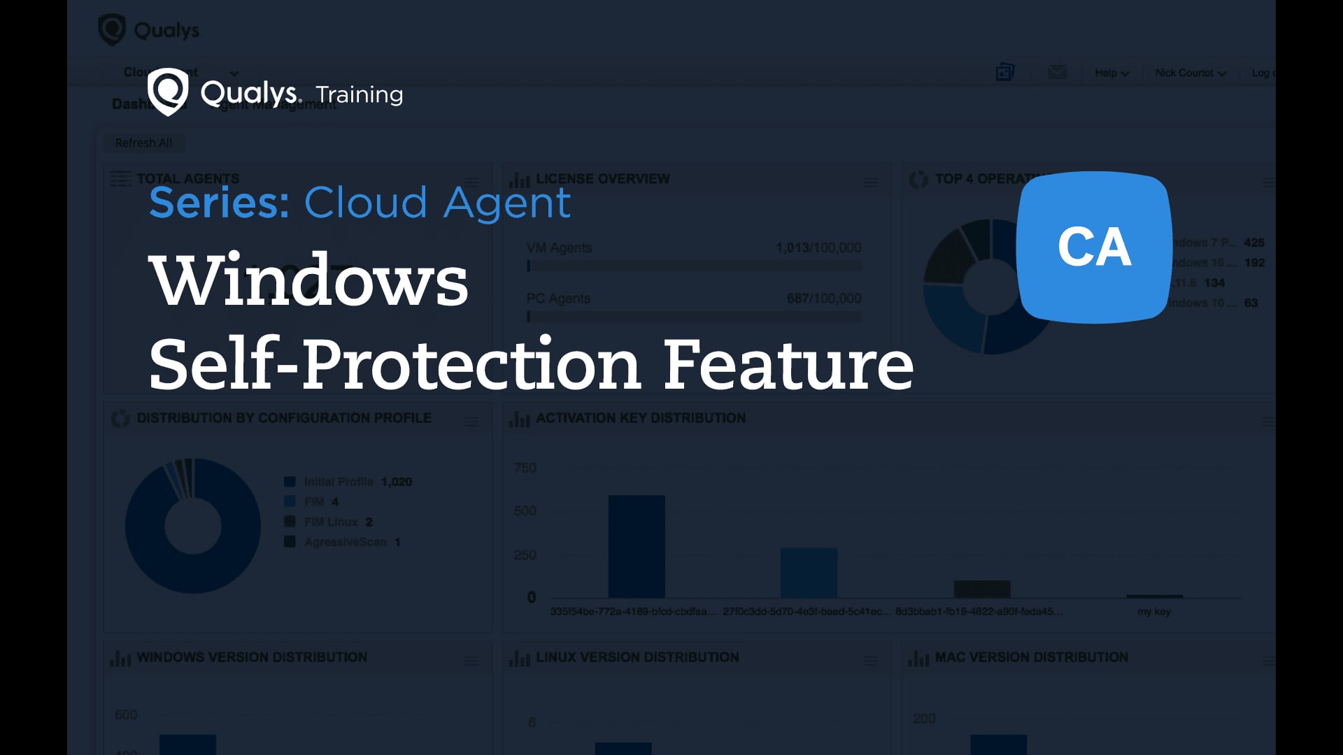 Windows Self-Protection Feature