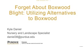 Forget About Boxwood Blight: Utilizing Alternatives to Boxwood