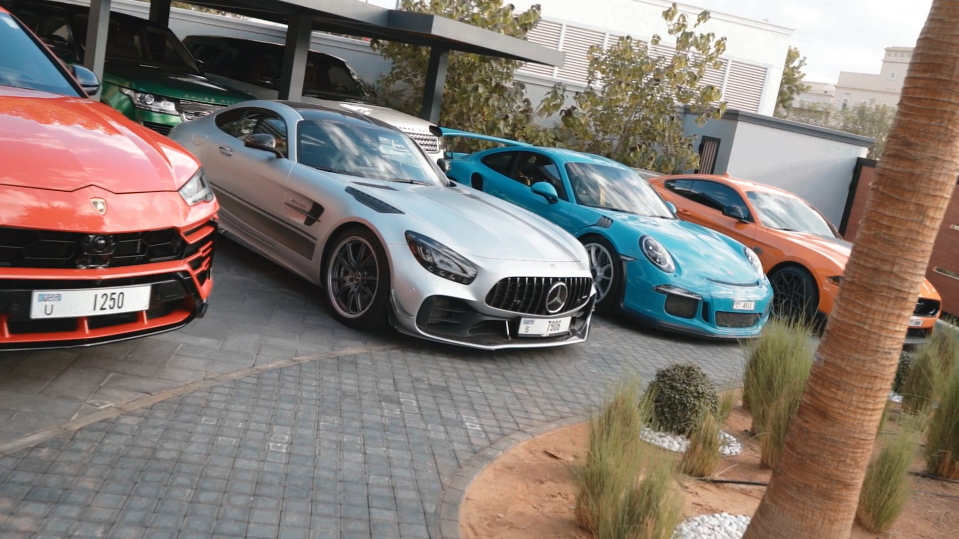 Exotic Car Collection