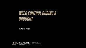 Weed Control During a Drought