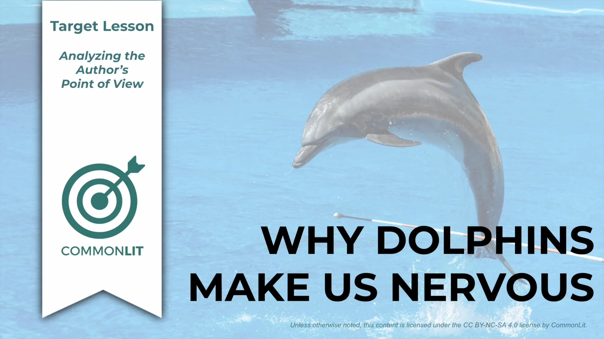 Target lesson why dolphins make us nervous on vimeo