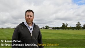 Learning to Identify Common Weeds in the Field