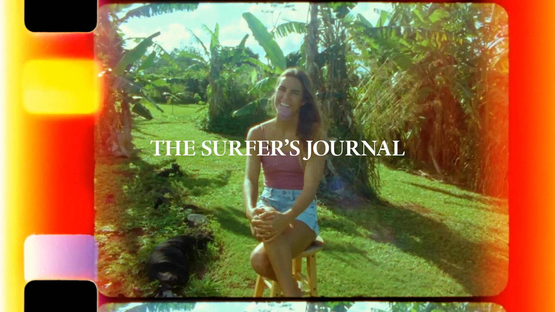 The Surfer's Journal