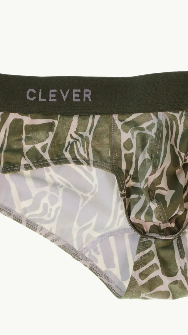 Clever 1130 Inner Briefs Color Green –