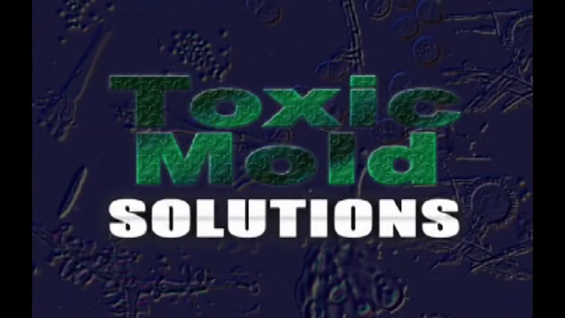 Toxic Mold Solutions