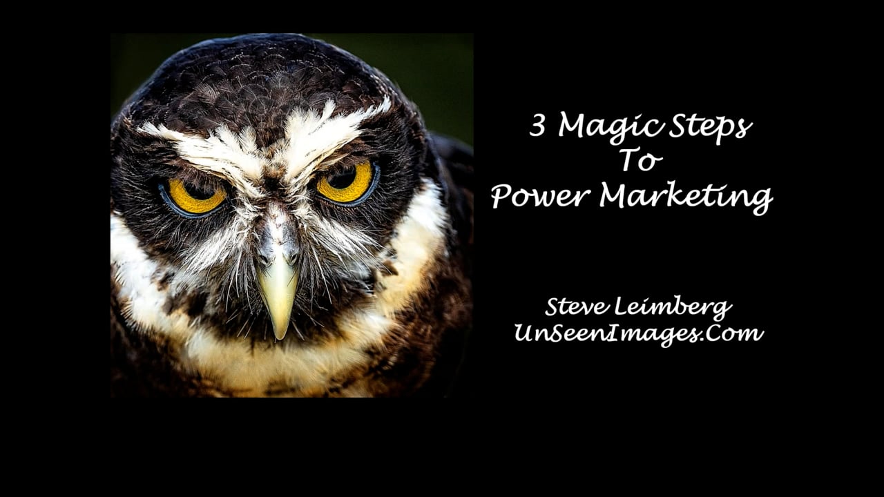 3 Magic Steps to Power Marketing w/ Steve Lehmberg